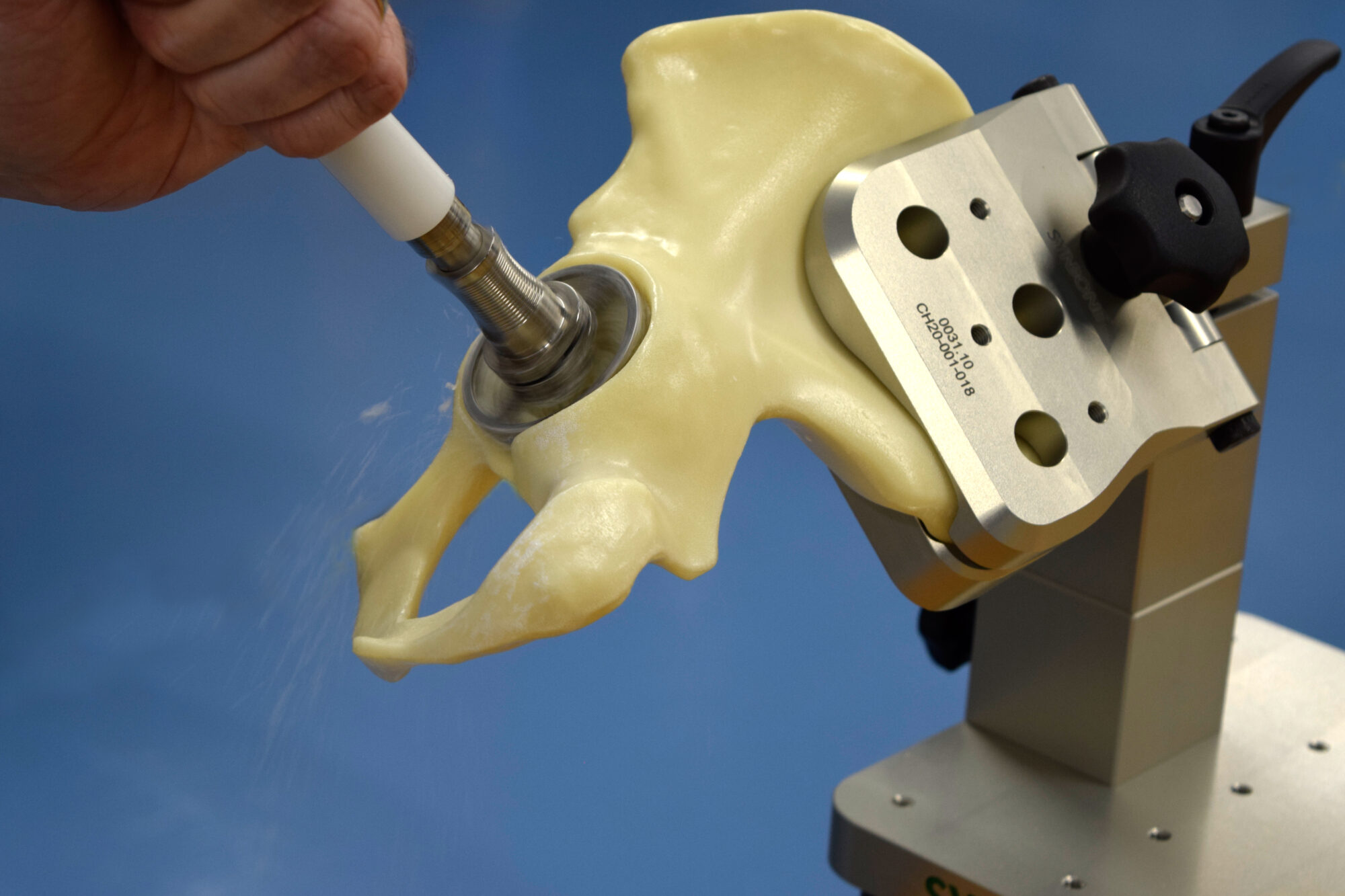 Hemi Pelvis in use Hemi-Pelvis in Hip Holder System