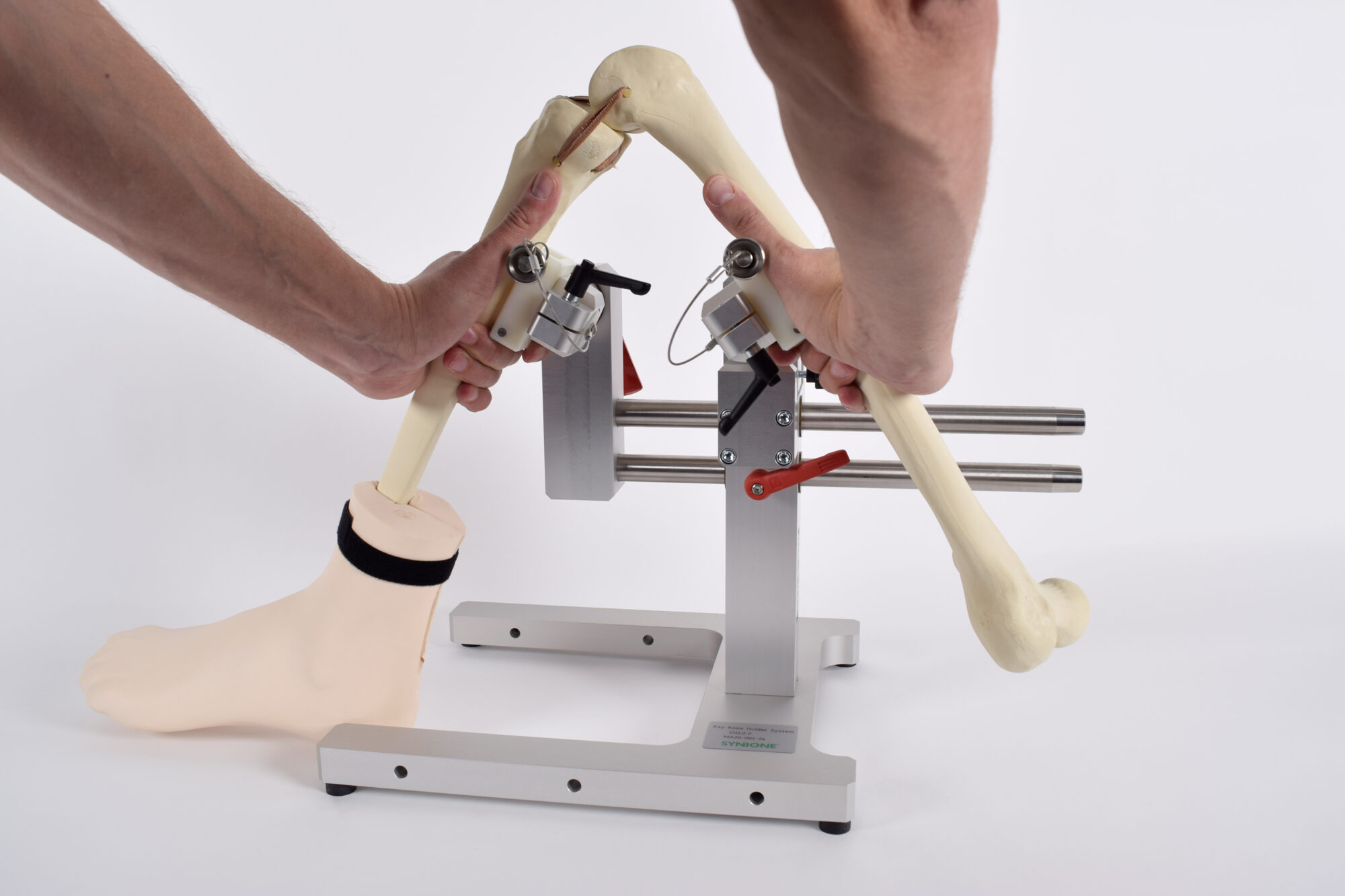 RAY Knee Holder with Knee